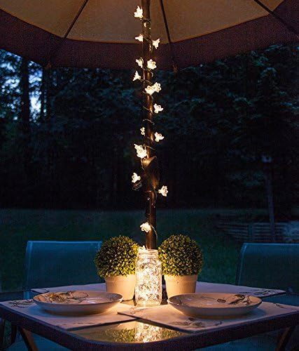 VelloHome Solar Mini Teeny Tiny Lights, Warm White, String Light, 8.81 ounces, 2 Count