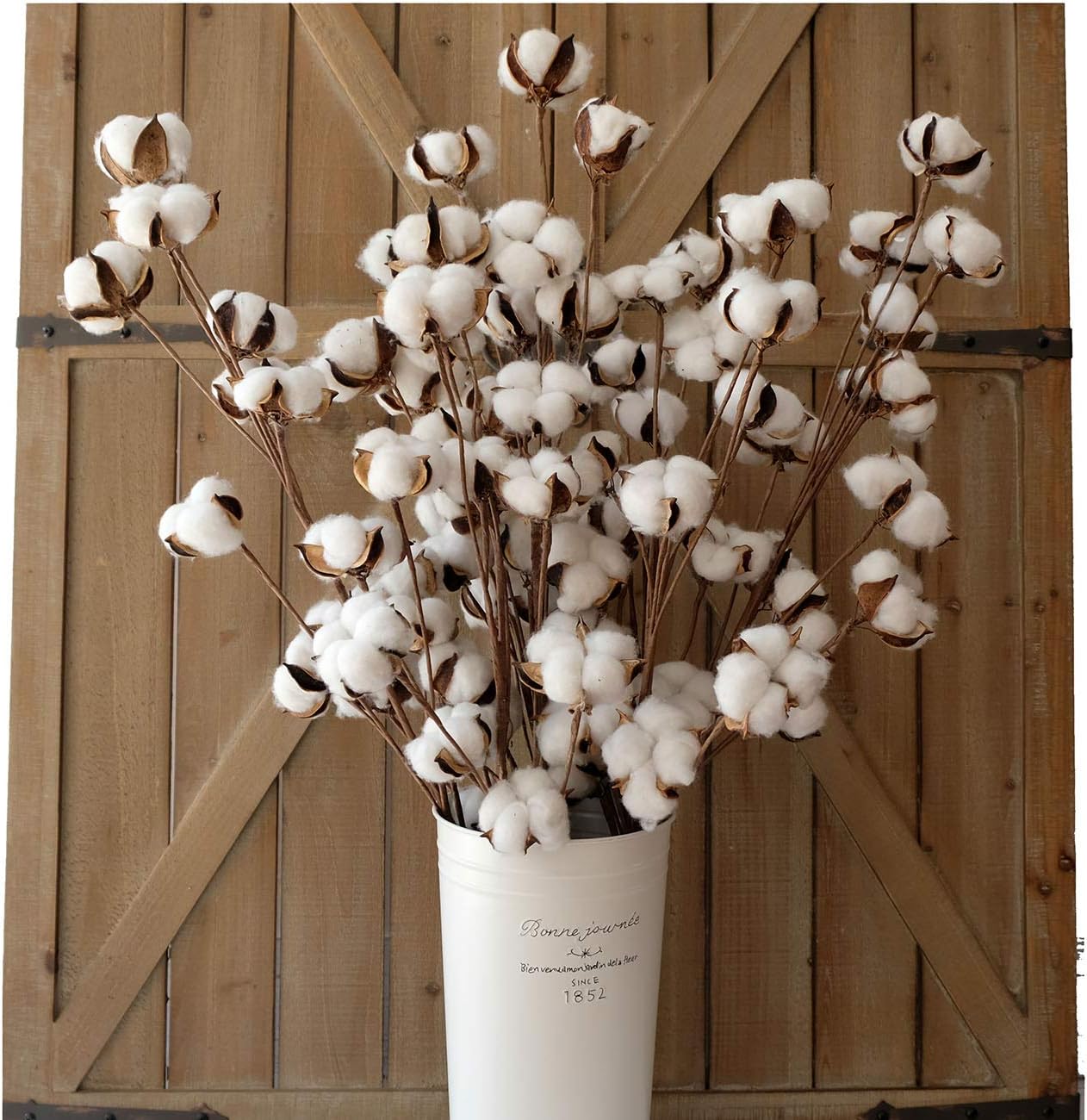 Aldernest Cotton Stems Decor Branches, Cotton Flowers Plants for Decorations, 680.39 g, White