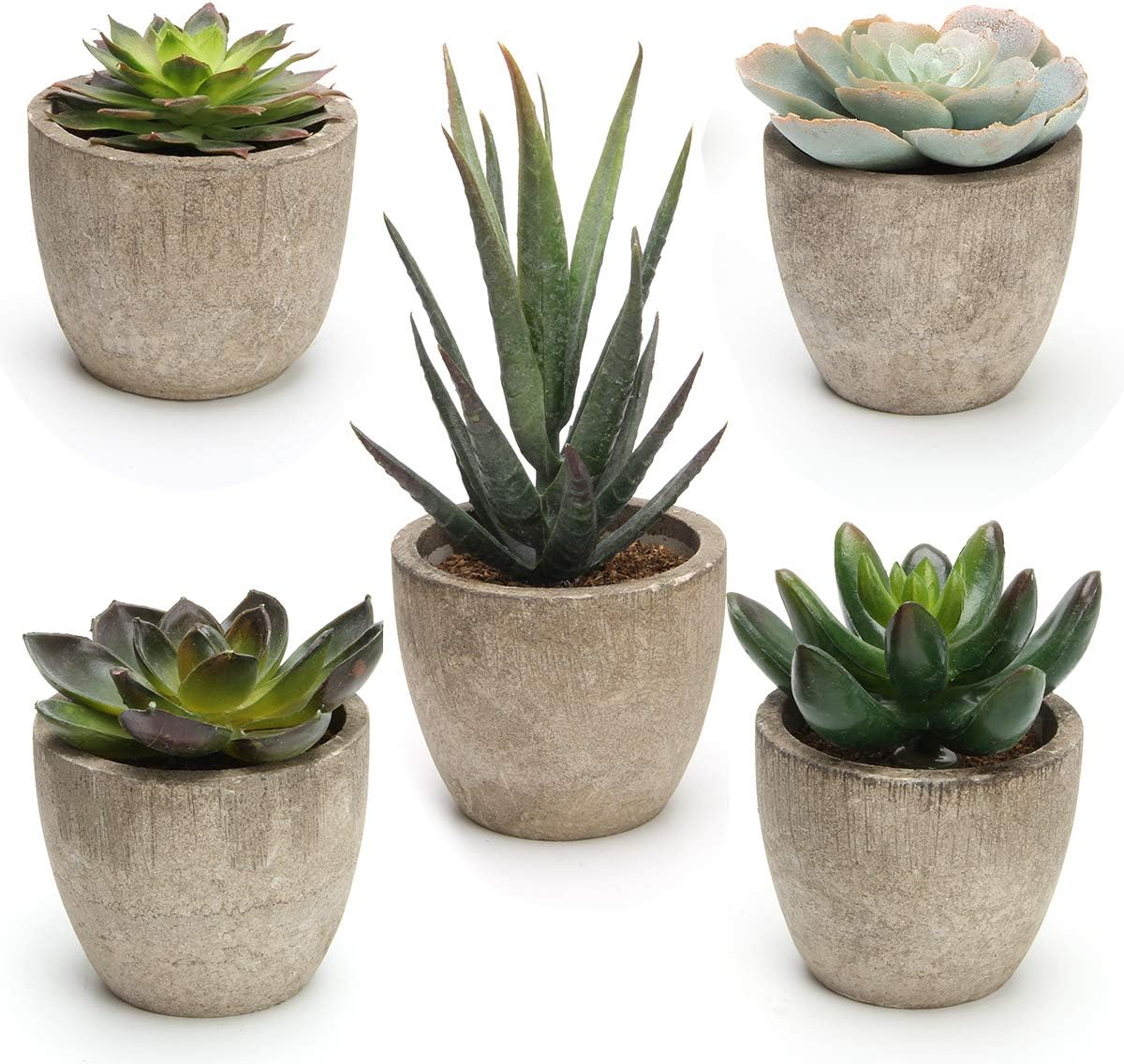 Ashenby Artificial Succulent Plants Potted, Artificial Plants Indoor, 5 PCS, 16 ounces, Green