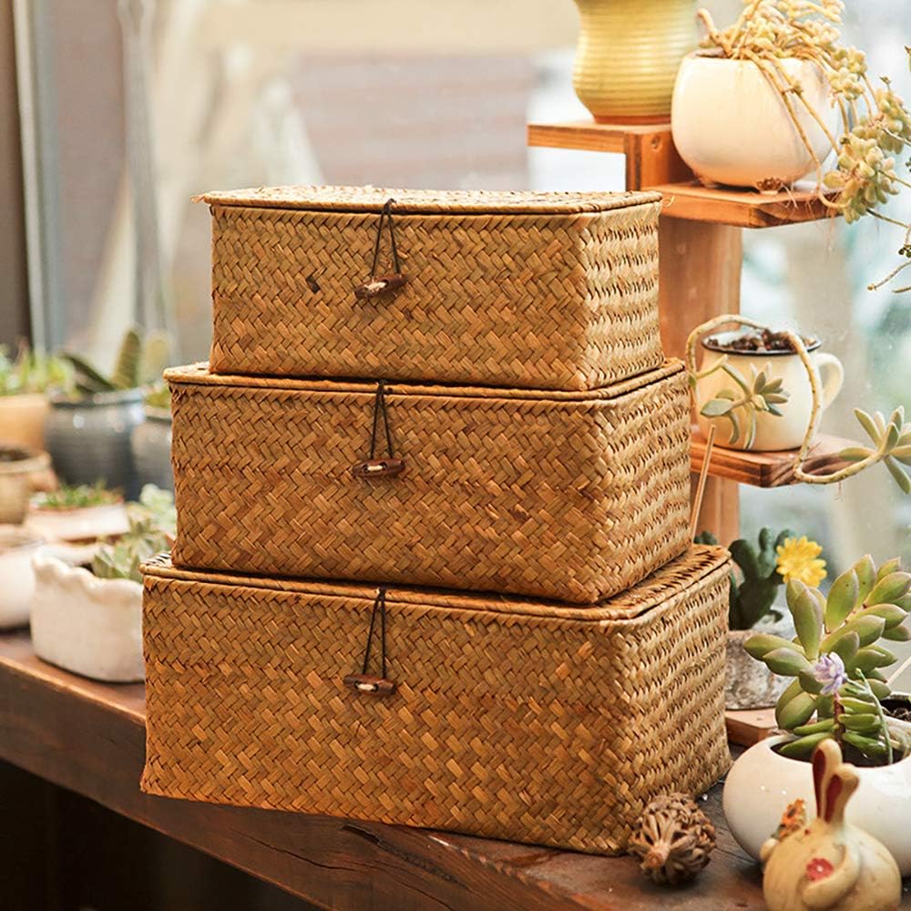 Ashenby Boho Nesting Shelf Baskets with Lid, Set of 3 Household Organizer Bins, 1.4 pounds, Brown