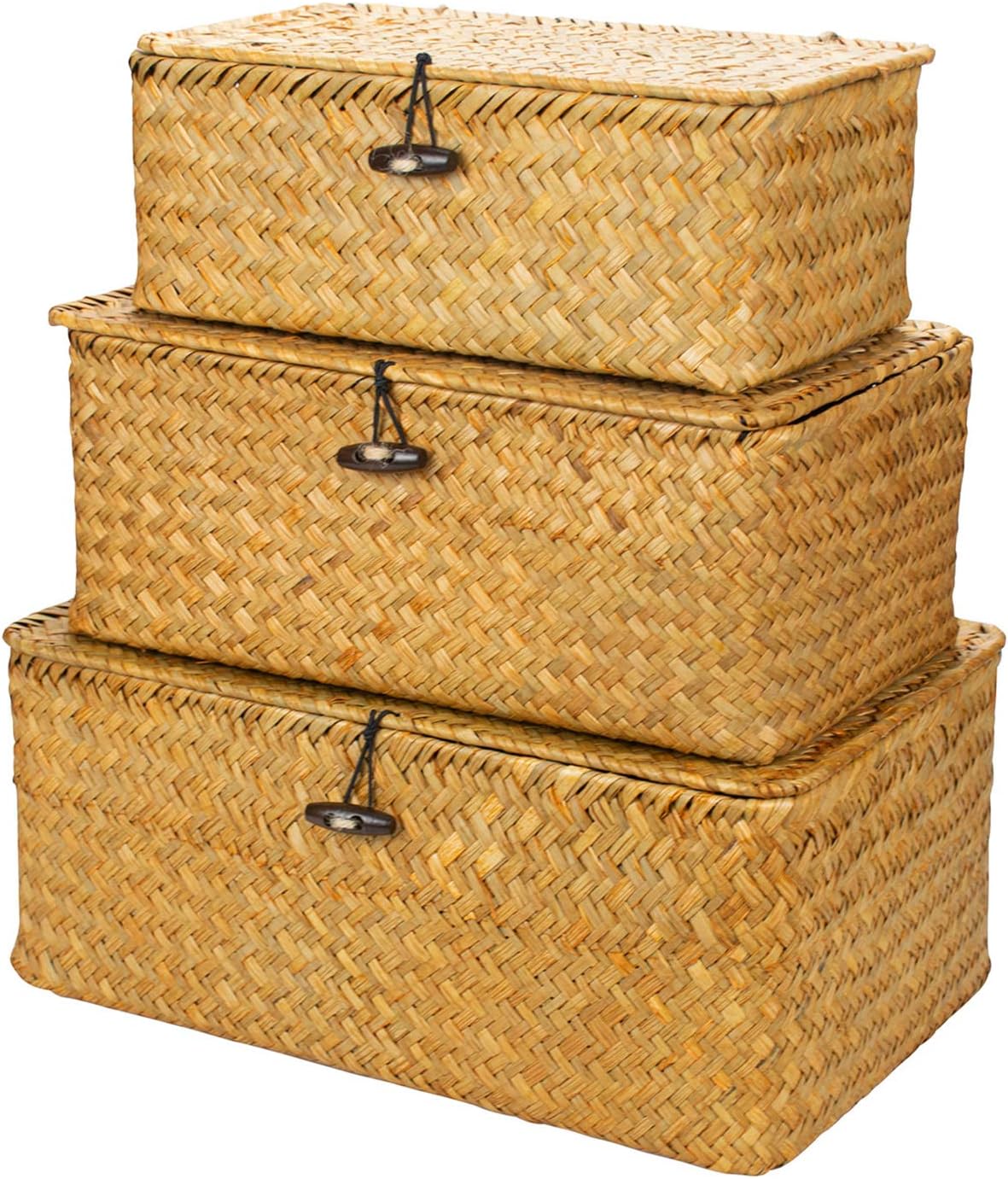 Ashenby Boho Nesting Shelf Baskets with Lid, Set of 3 Household Organizer Bins, 1.4 pounds, Brown