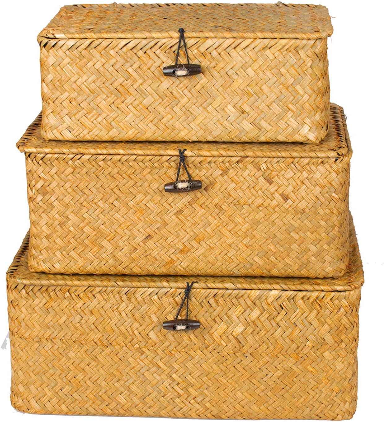 Ashenby Boho Nesting Shelf Baskets with Lid, Set of 3 Household Organizer Bins, 1.4 pounds, Brown