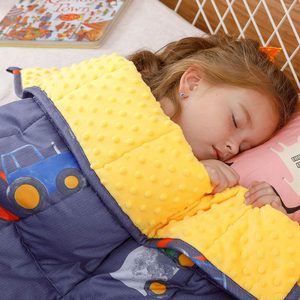 Aldernest Minky Weighted Blanket for Sleeping, 3lbs 36x48 inches, Blue Car World