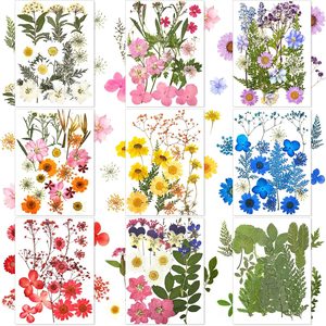 Ashenby 167 Pcs Pressed Dried Flowers for Resin, Multicolor, Lovely Style, Fresh Color