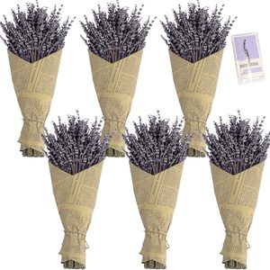 Aldernest 6 Packs Natural Dried Lavender Flowers Bouquet with Stems, 90 g