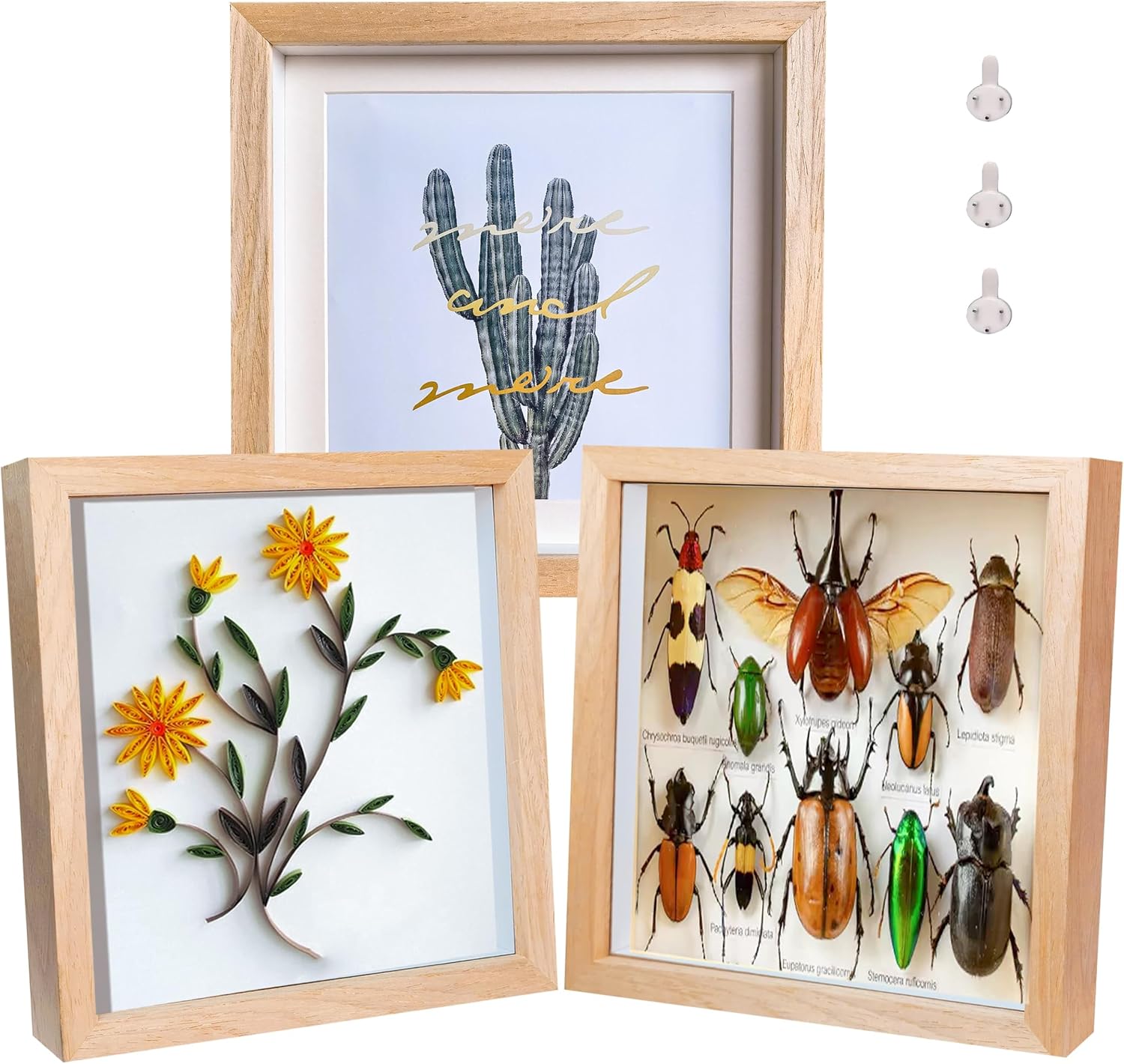 Ashenby 8x8 Shadow Box Frame, Natural Wood, 3 Pack for Wall or Tabletop, Teak