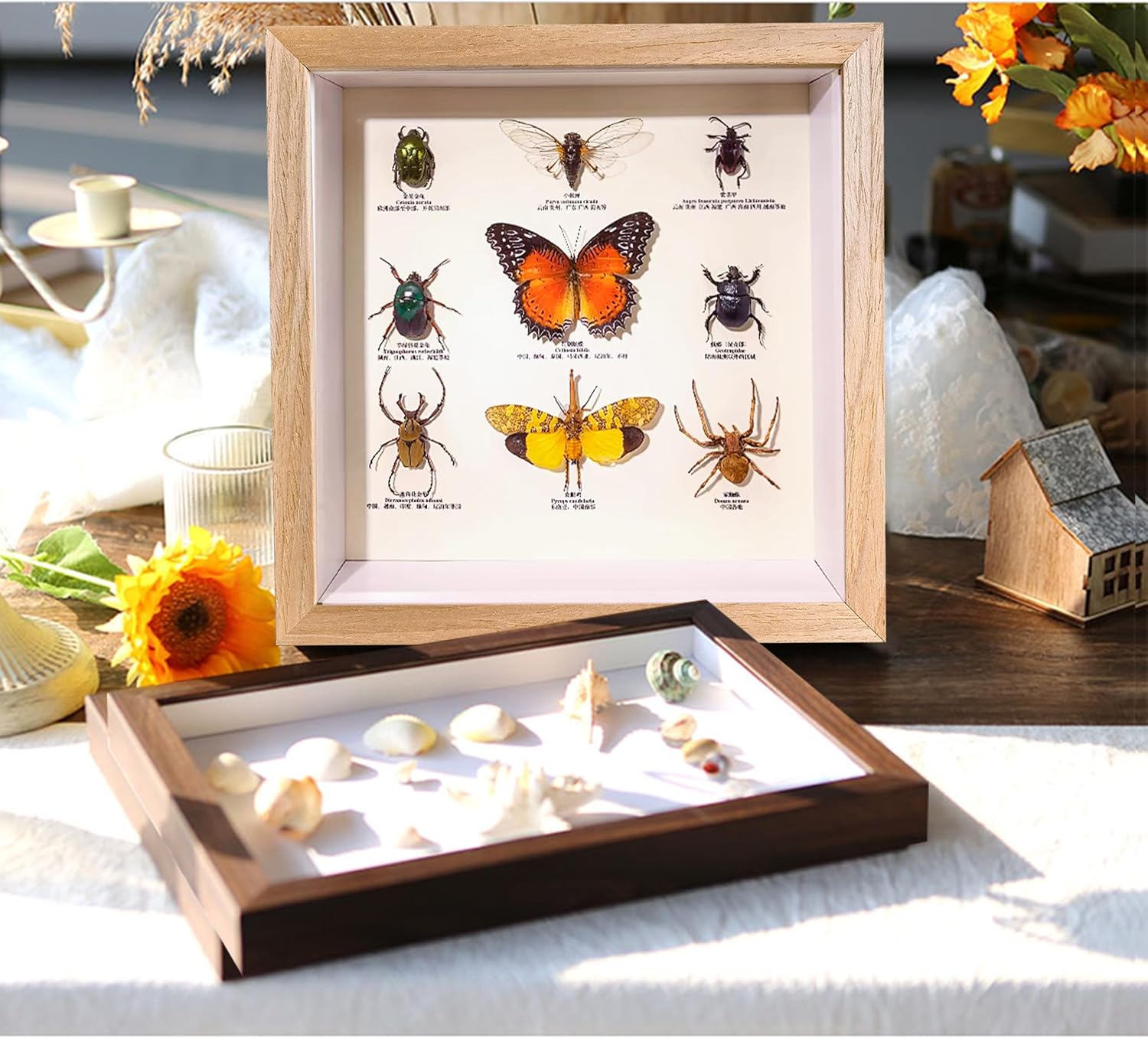 Ashenby 8x8 Shadow Box Frame, Natural Wood, 3 Pack for Wall or Tabletop, Teak