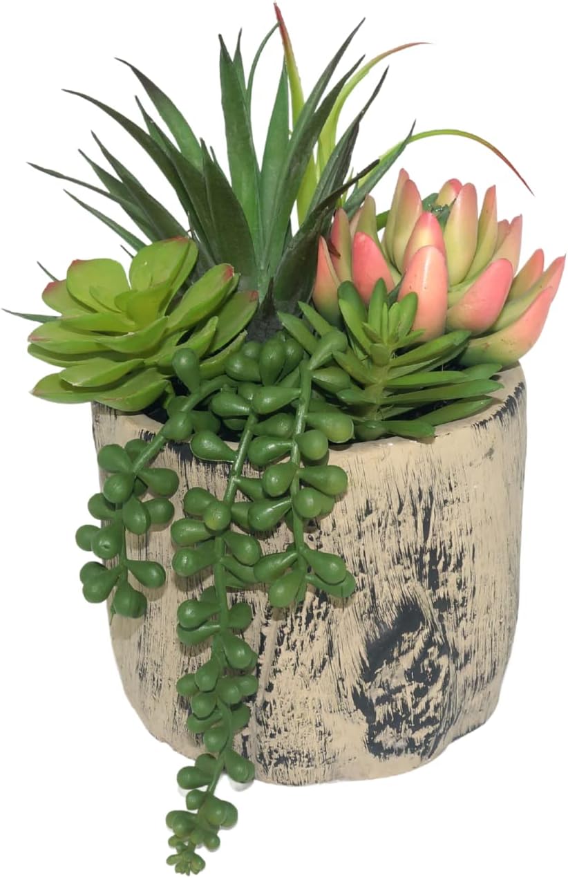 Ashenby Succulents Plants Artificial, 16 ounces, Red