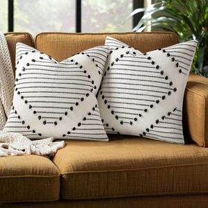 Aldernest Boho Outdoor Throw Pillow Covers 18x18 Set of 2 Black & Cream White