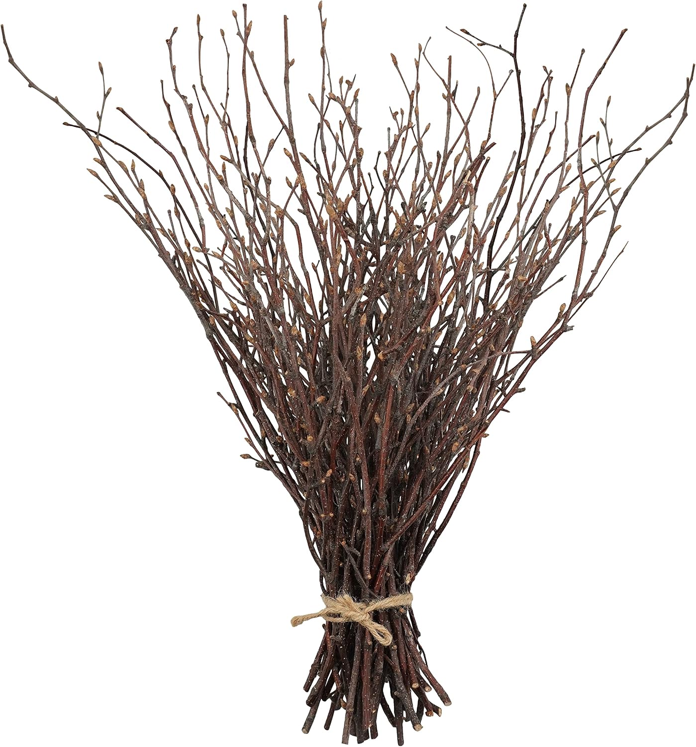 Birchmont 50PCS Birch Twigs – 17 Inch Natural Dried Plants Decorative Birch Branches for DIY Crafts