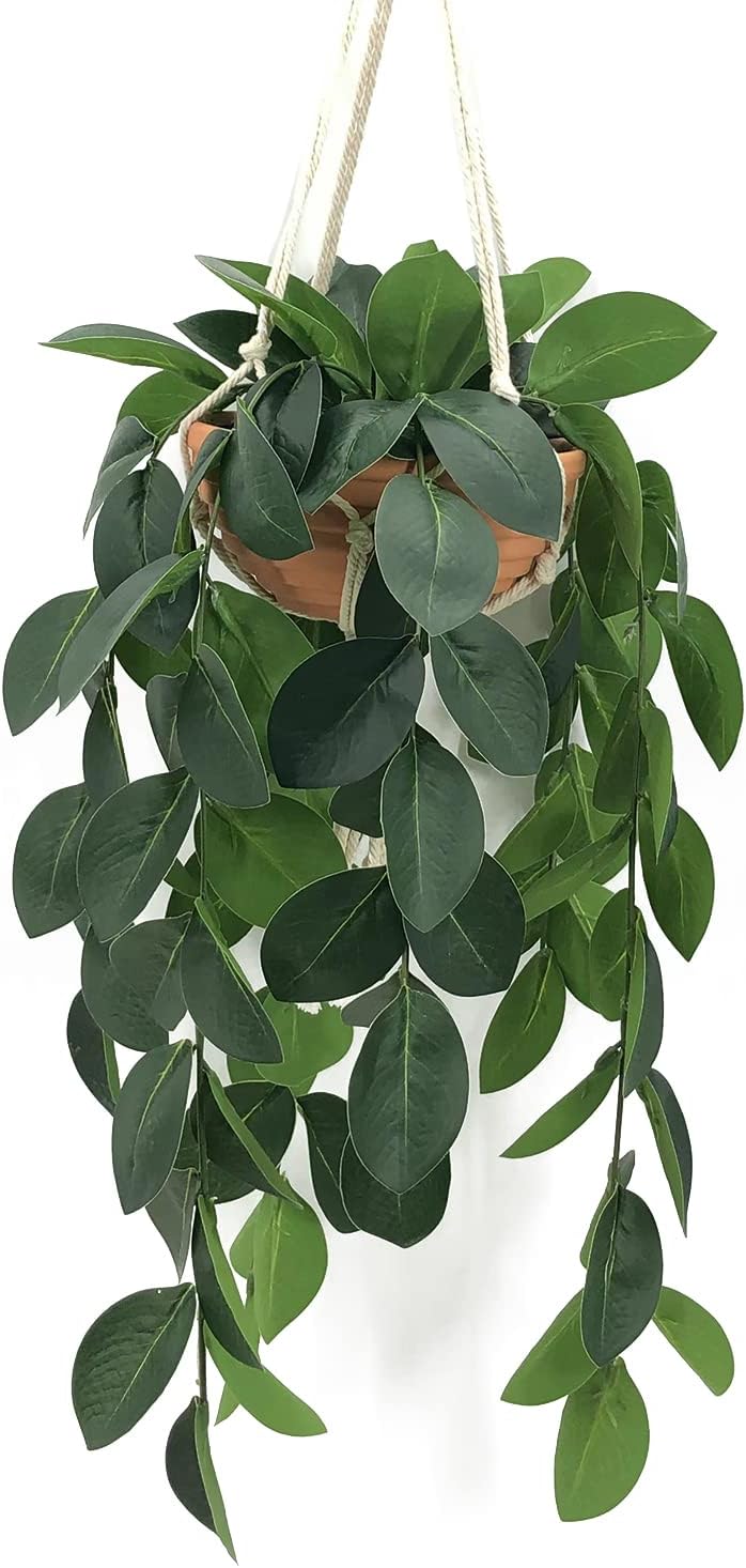 Ashenby Hanging Plants Artificial Decor, 16 ounces, Dark Green