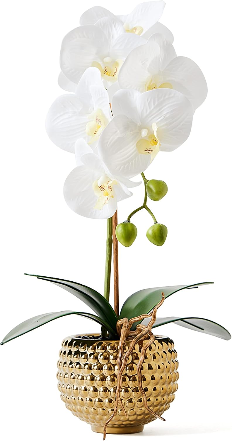 Ashenby Orchids Artificial Flowers, 16 ounces, White