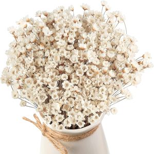 Ashenby 500 Pcs Mini Natural Dry Chamomile Flowers Decoration, White