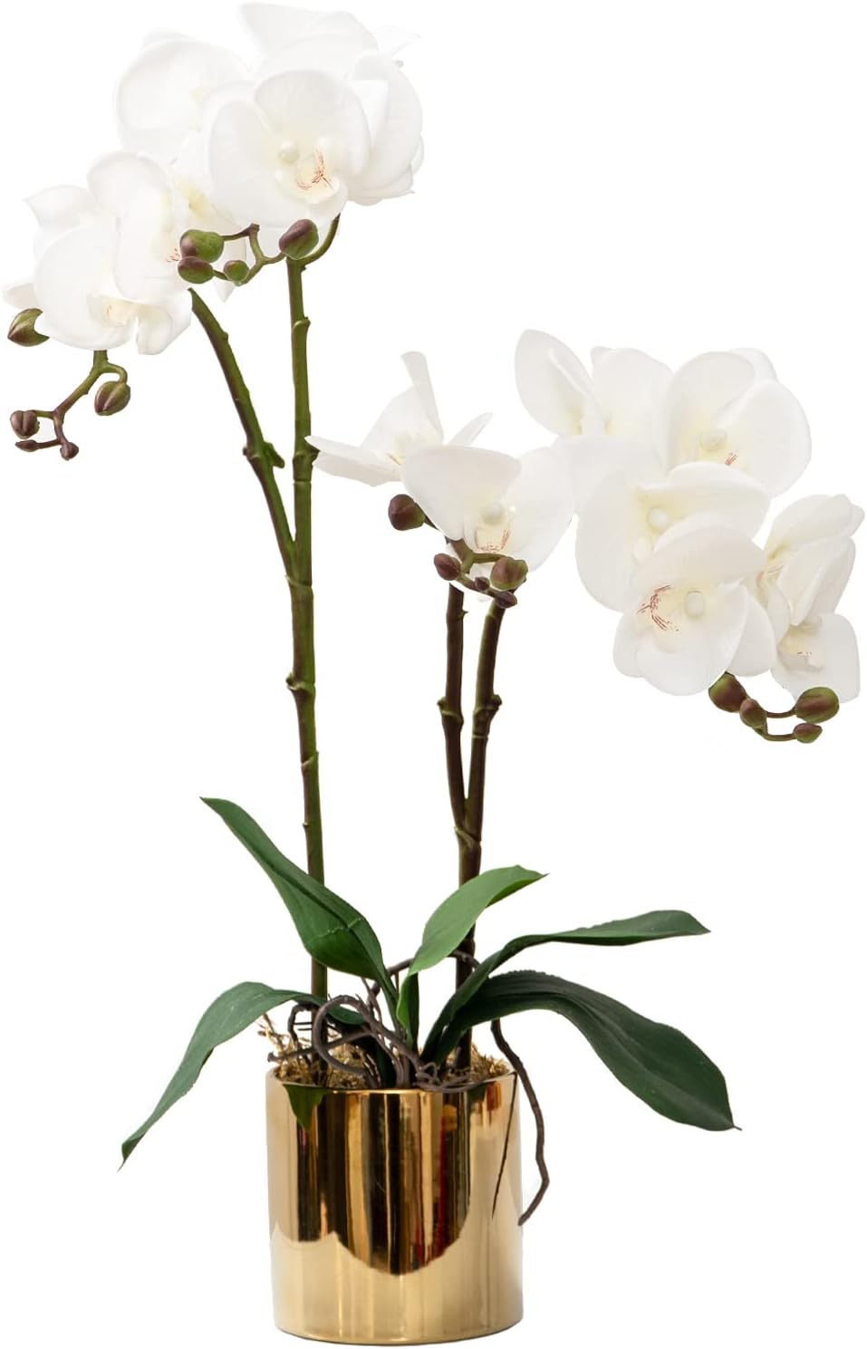 Aldernest Artificial Orchid Flower Plant 19.7'' Real Touch Faux Orchids in Vase, 4.8 ounces, White- Golden