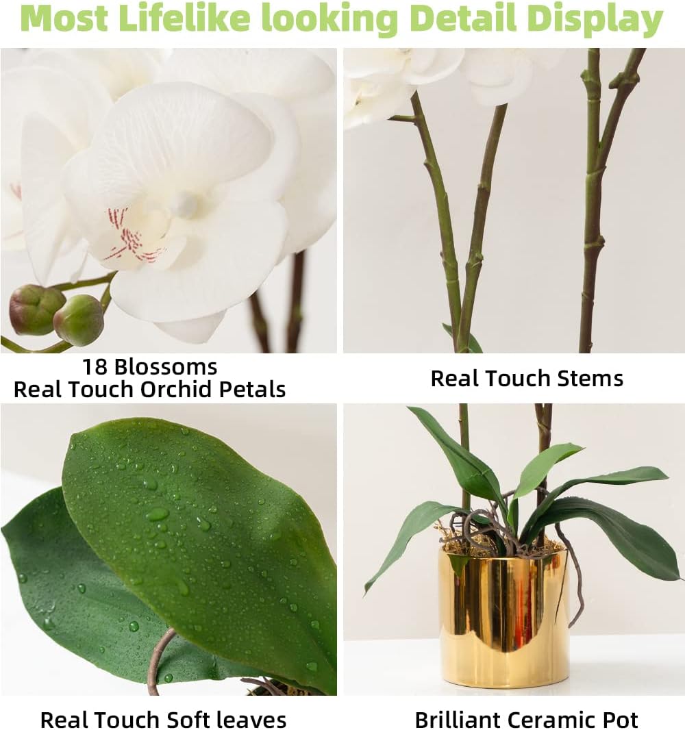 Aldernest Artificial Orchid Flower Plant 19.7'' Real Touch Faux Orchids in Vase, 4.8 ounces, White- Golden