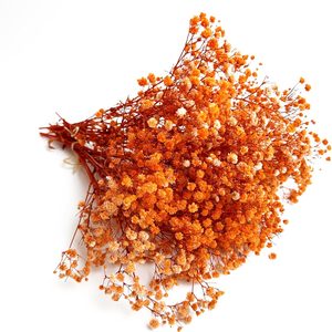 VelloHome Preserved Baby's Breath 3 Bunches, 0.13 kg, Orange
