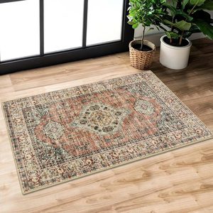 Aldernest Oriental Door Mat Indoor Entrance, 2x3 Washable Rugs for Entryway, 1.1 pounds, Terracotta