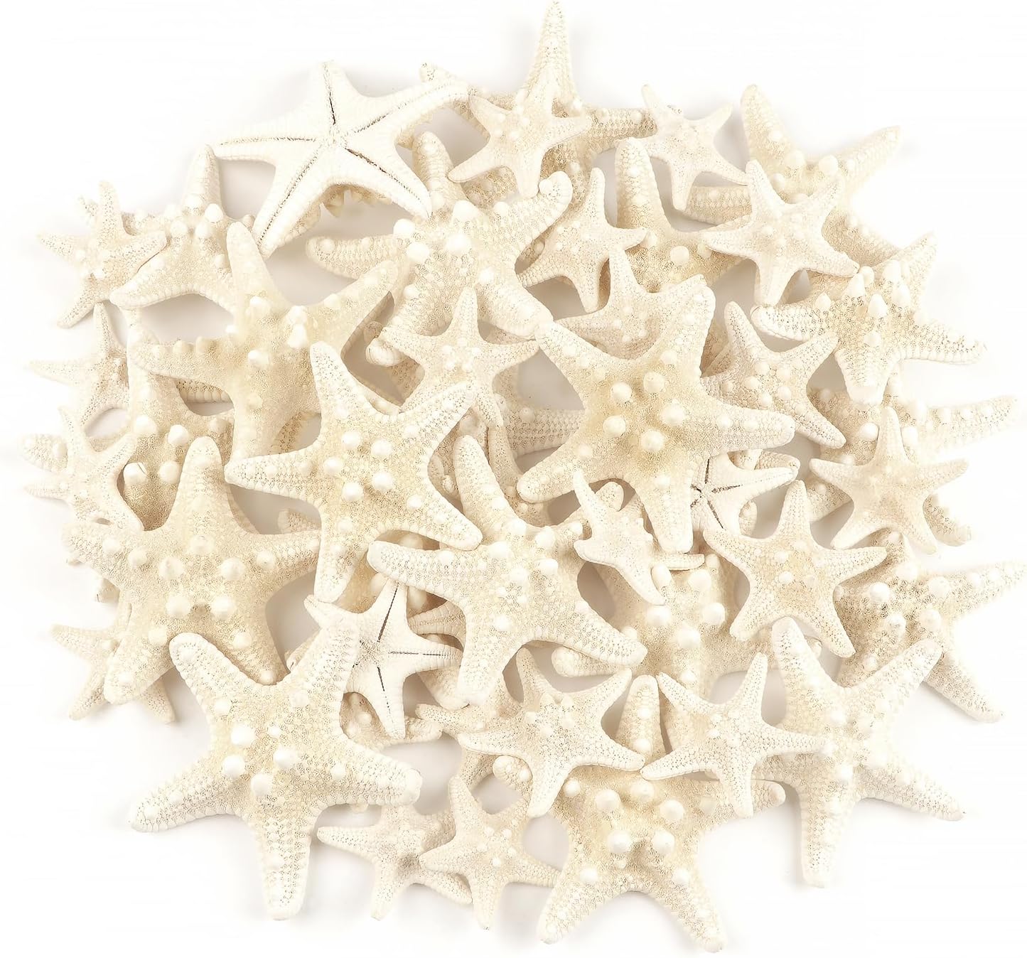 Birchmont 48 PCS Knobby Starfish, White, 1" to 3" Natural Seashells