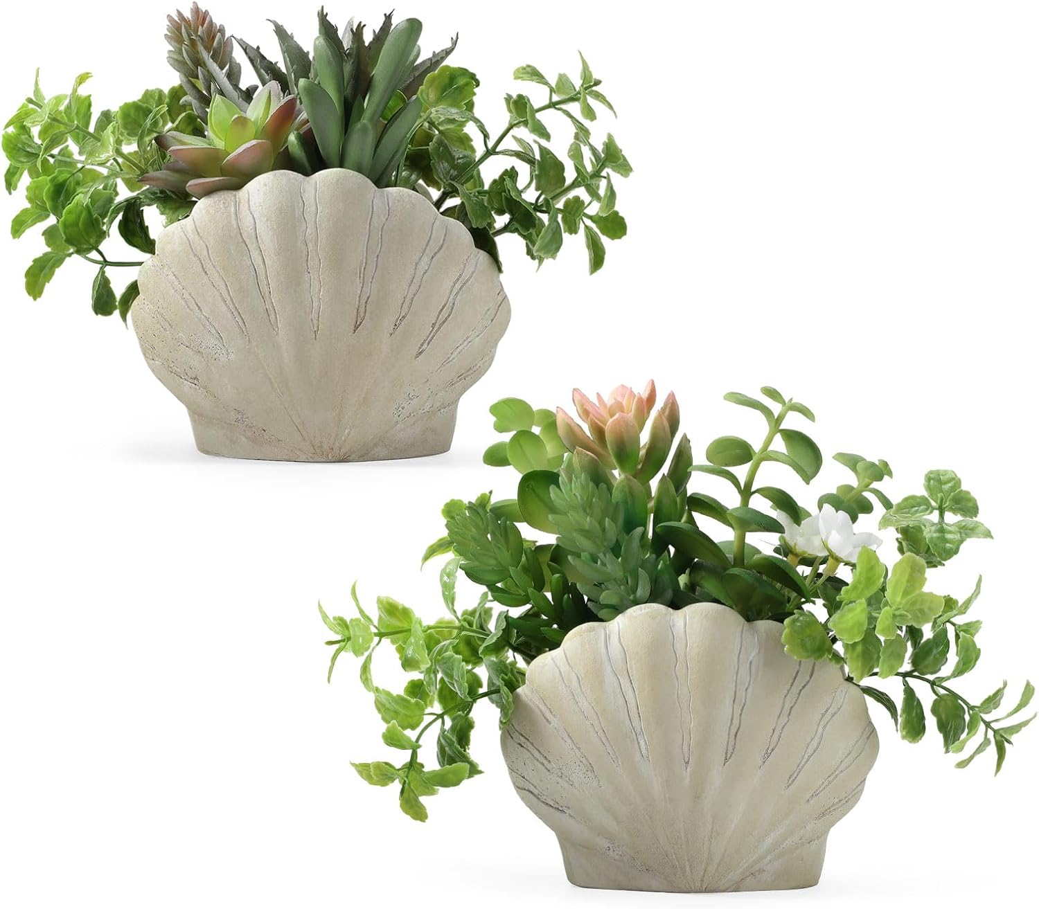 Aldernest Fake Plants Set of 2, Assorted Faux Succulents with Sea Shell Pots, 3.2 pounds, Green