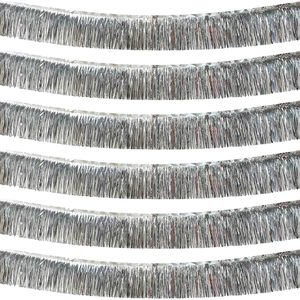 Aldernest Silver Foil Fringe Garland, 6 Pack 10 Feet Metallic Foil Tinsel, 0.24 kg, 60 Feet