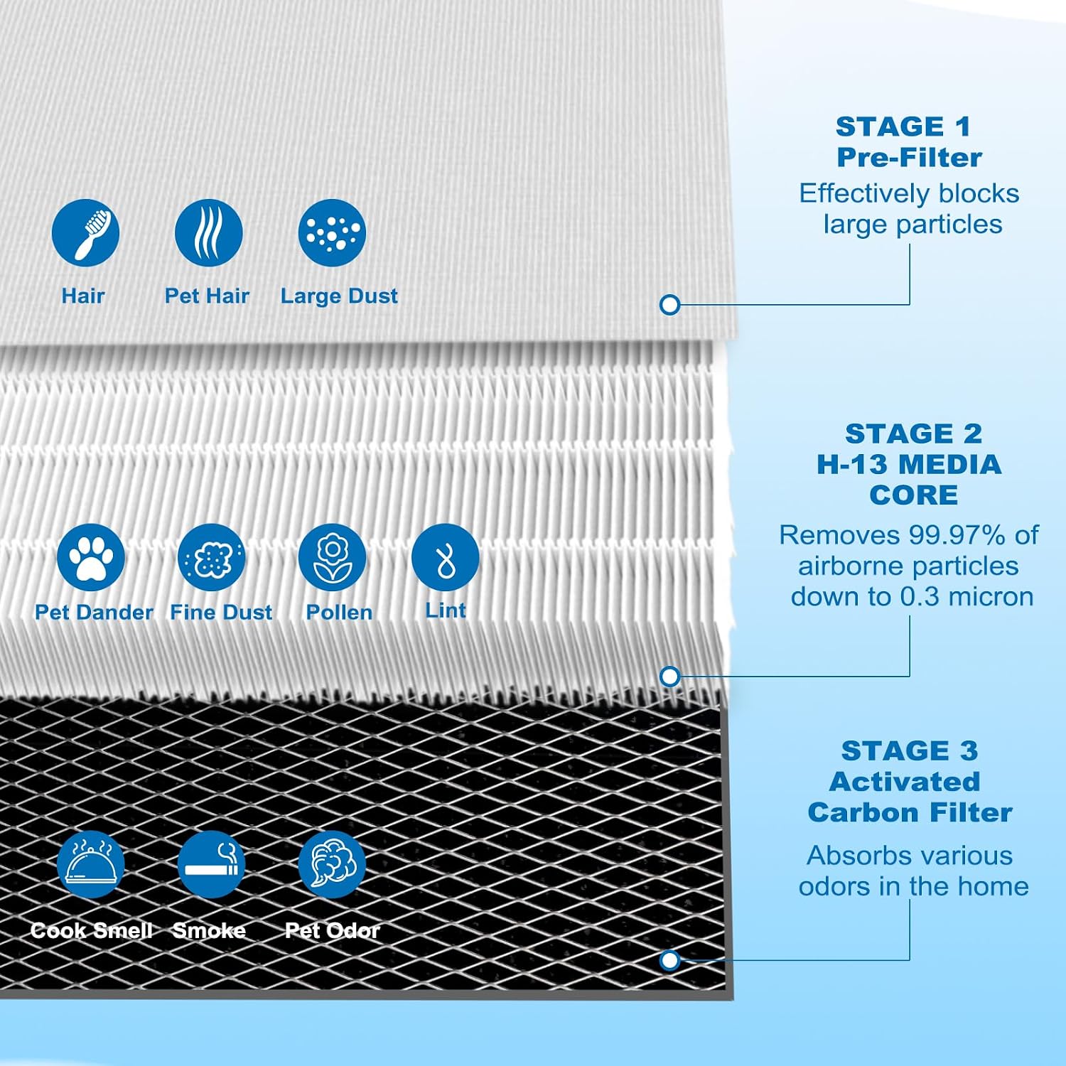 Birchmont 50 Replacement Filter, Compatible with MA Air Purifier 50 Series, 2 Count