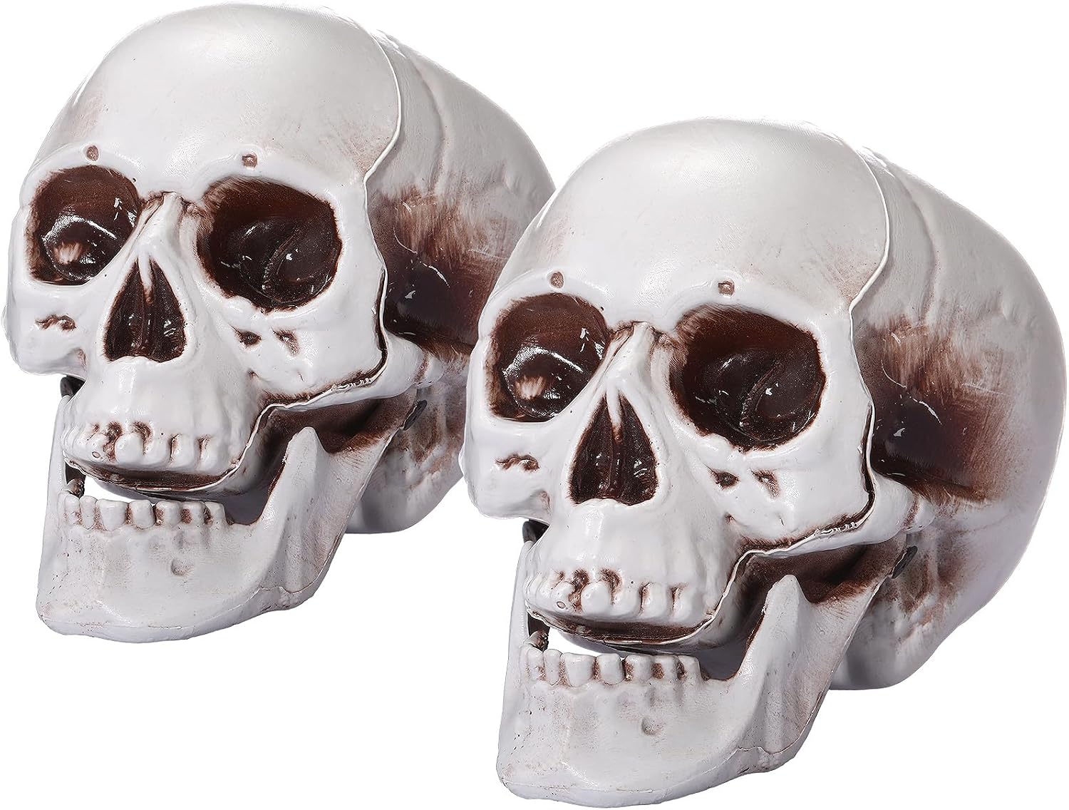 NestlyCo 2 Pcs Halloween Human Skull Model, 5.1 Inch, 0.22 kg, White