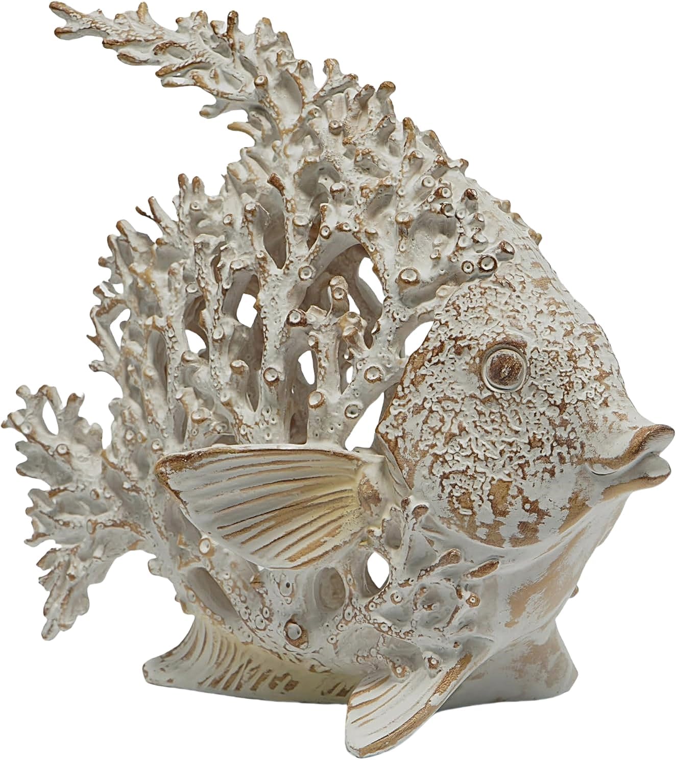 VelloHome Beach Coastal Coral Reef Angelfish Home Office Bathroom Decor Gift, 16 ounces, Medium, White