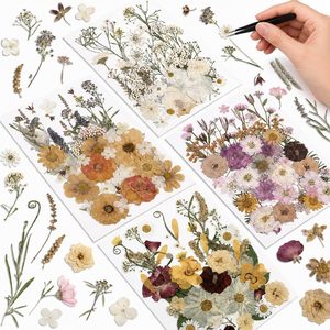 Ashenby 200 Pcs Natural Pressed Dried Flowers Bulk for Craft Resin, 4 ounces, Classic Color