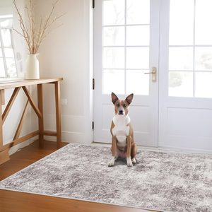 Ashenby 3x5 Washable Area Rug for Entryway: Small Abstract Neutral Rugs GrayCream, Gray Cream