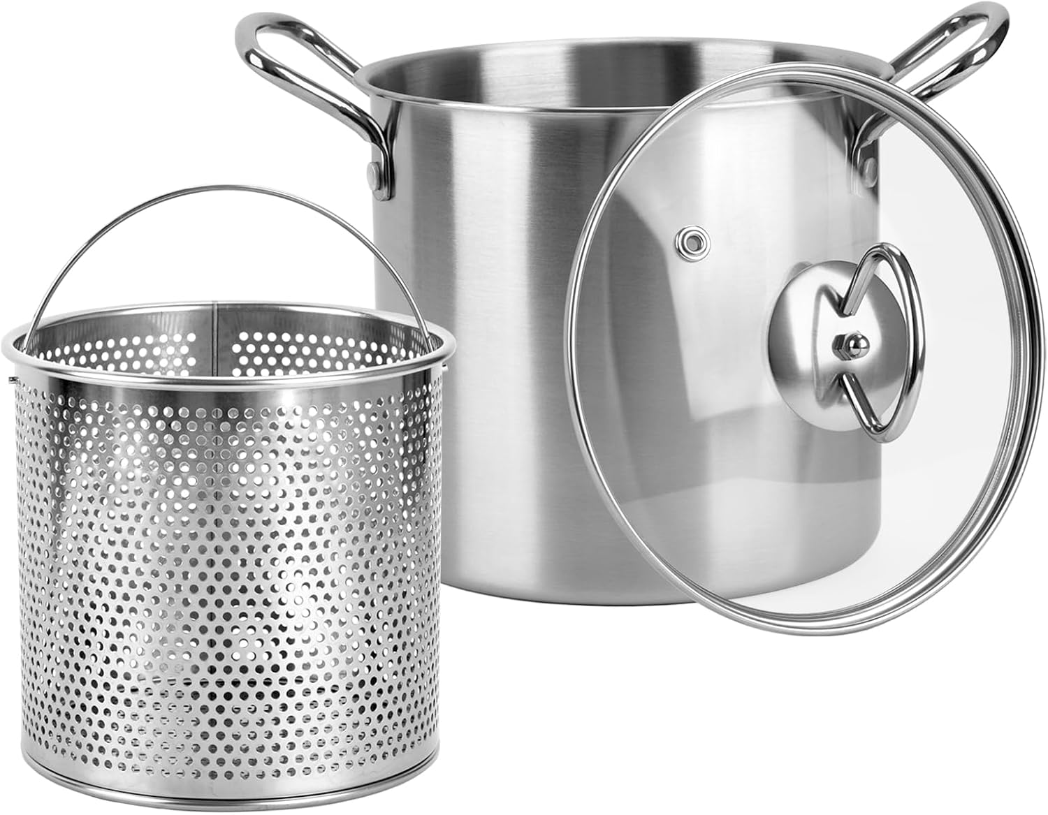 Aldernest 3.5L Small Deep Fryer Pot with Oil Drip Drainer, 2.1 pounds, Silver