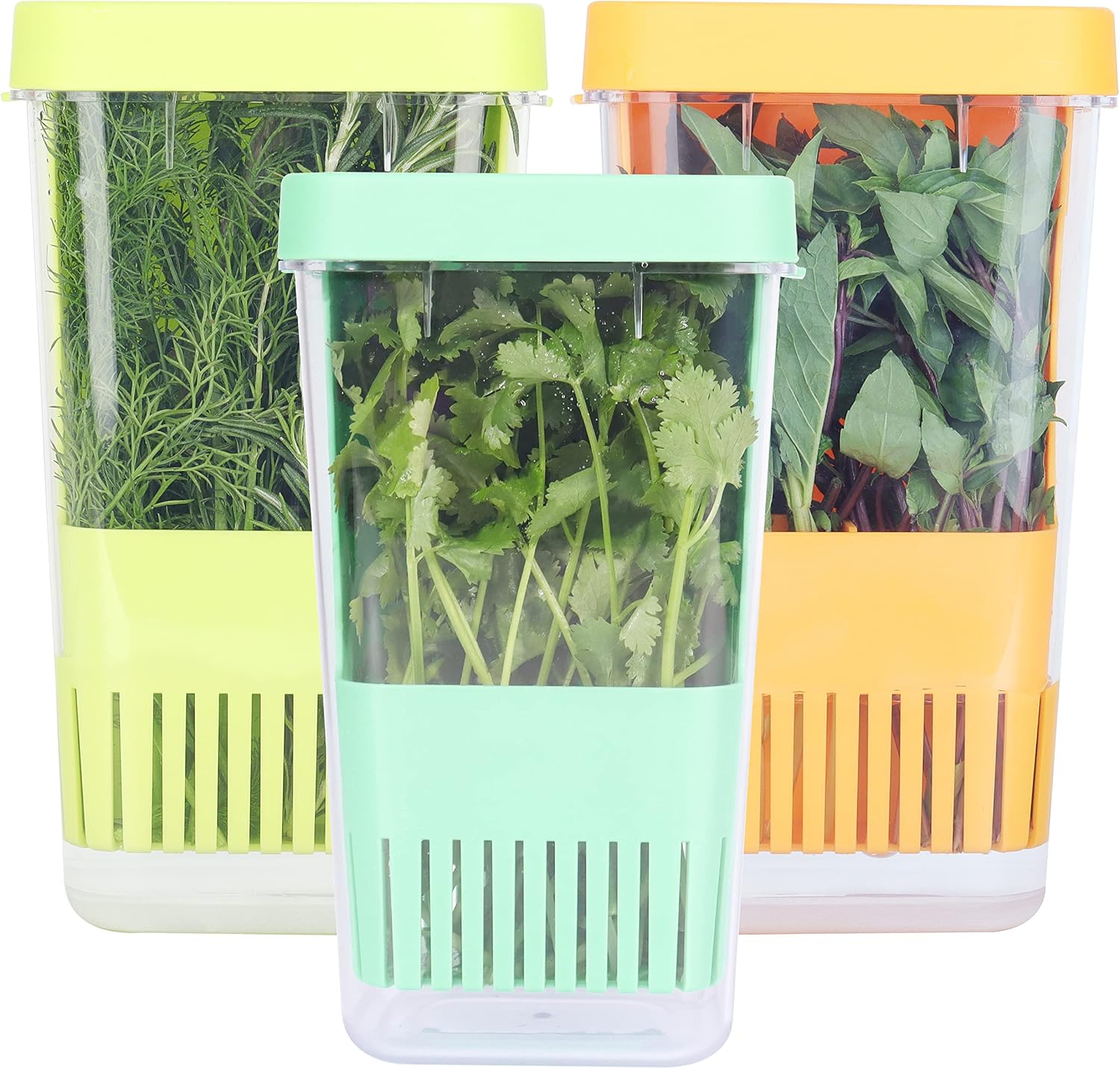 Aldernest 3 Pack Herb Keeper, BPA-Free Plastic Herb Saver with an Inner Basket for Cilantro, 1.22 kg, Green & Orange & Blue