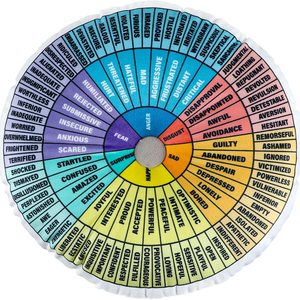 VelloHome Wheel of Emotions Feelings Pillow Round Velvet Feelings Wheel Emotion Throw Pillow Circle Seating Floor Cushion for Office Home Room Sofa