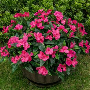 VelloHome Artificial Fake Flowers for Outdoor Décor 6 Bundles UV Resistant Fake Plants for Planter Faux Impatiens for Home Porch/Garden Stunning