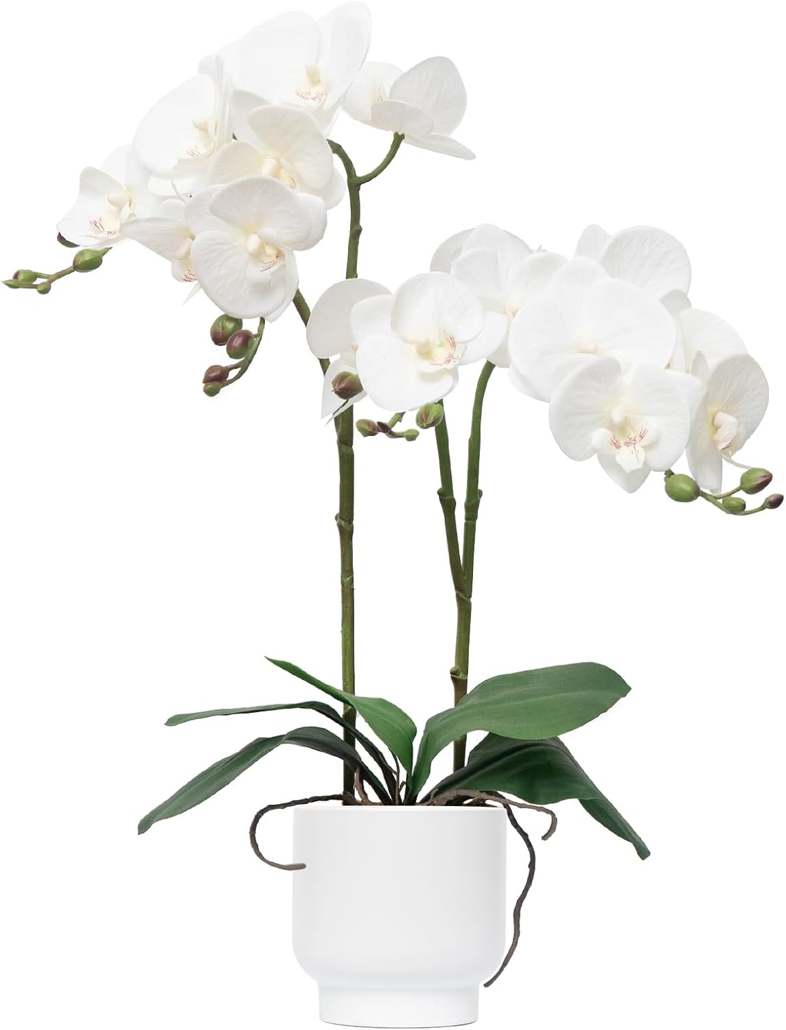 Aldernest Orchids Artificial Flowers Real Touch Fake Flowers in Ceramic Pot 20" White Faux Orchid Plant Lifelike Silk Phalaenopsis for Centerpiece