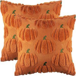 Aldernest Fall Pumpkin Decorative Throw Pillow Covers 24x24 Set of 2 Pillow Covers, Pumpkin Orange