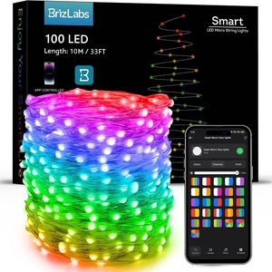 NestlyCo Smart Fairy Lights Color Changing, 33 ft 100 LED APP/Voice Control