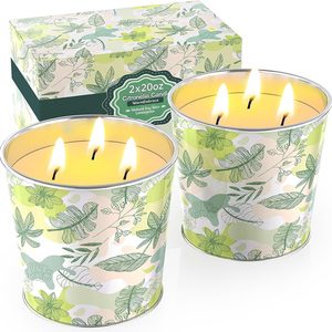 Aldernest Citronella Candles Outdoor & Indoor, 2.83 pounds