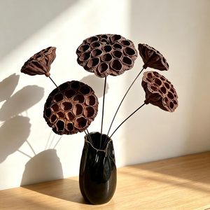 VelloHome Dried Lotus Pods 5 Pcs 20" Natural Brown with Stems for Vase Decor, 0.12 kg