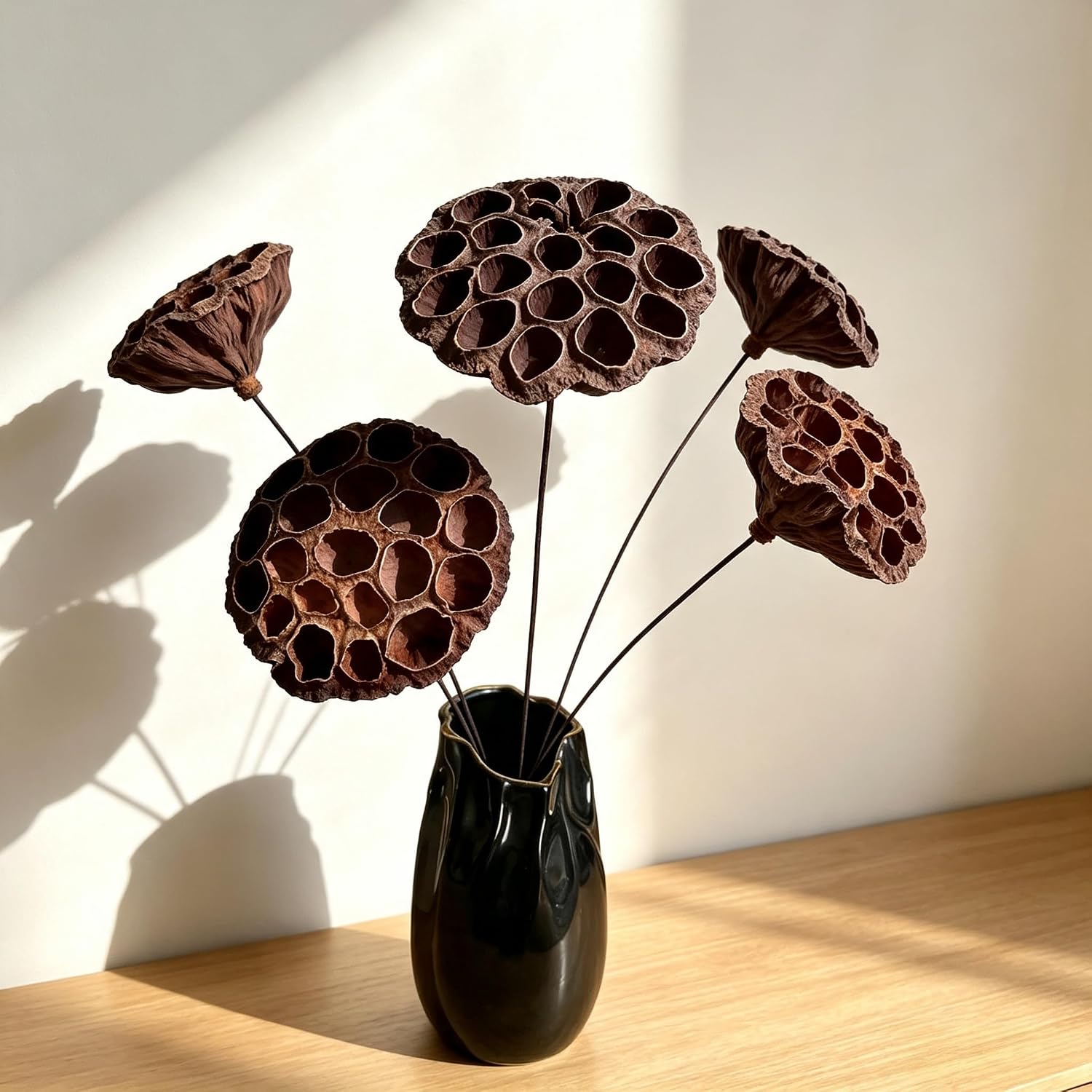 VelloHome Dried Lotus Pods 5 Pcs 20" Natural Brown with Stems for Vase Decor, 0.12 kg