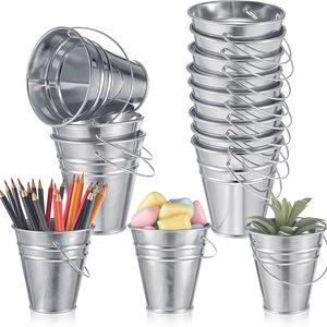 Aldernest 12 Pcs 3.5 Inch Small Metal Bucket with Handle Mini Pail, Silver
