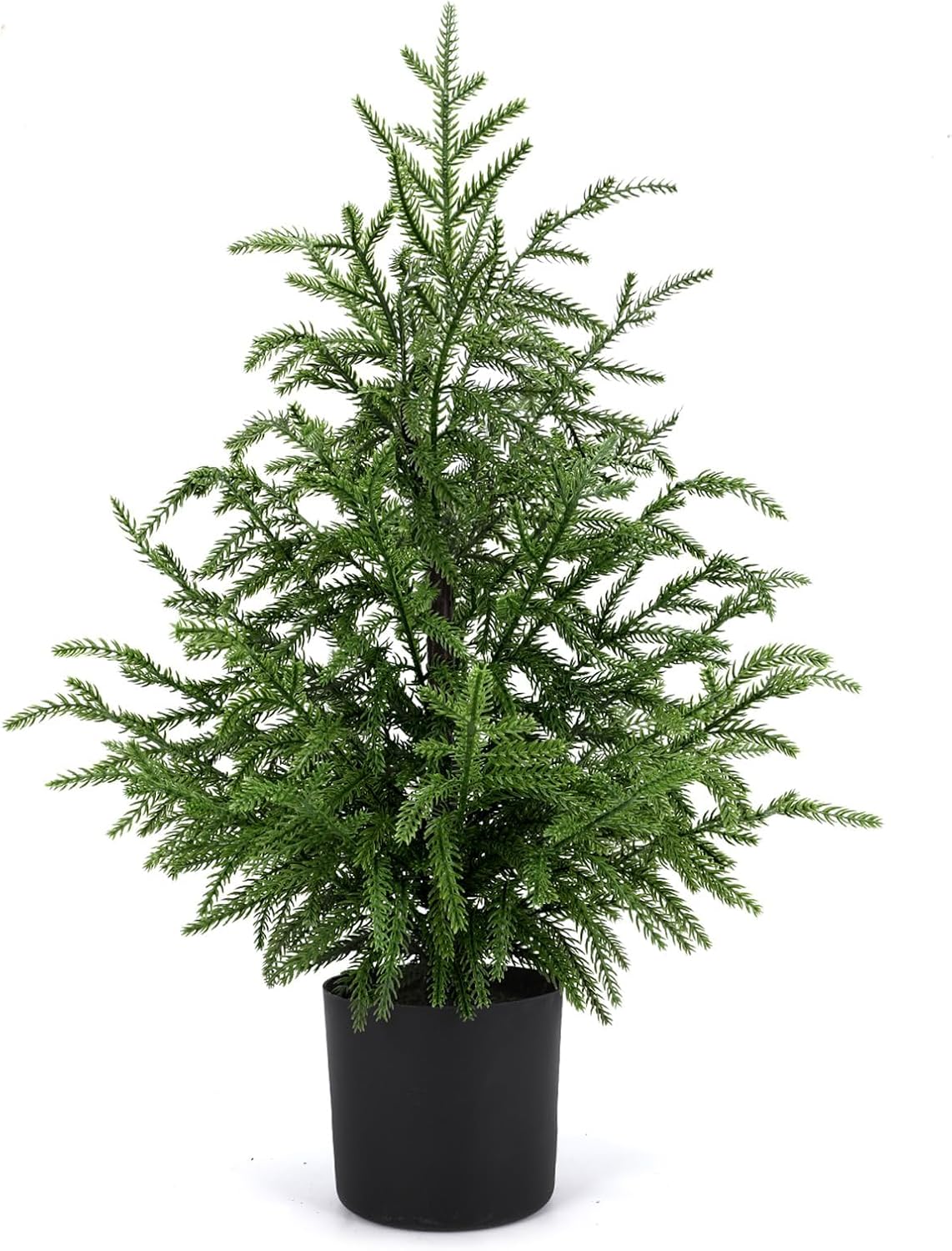 Ashenby 2FT Artificial Norfolk Pine Christmas Tree, Small Unlit Potted, 2.1 pounds
