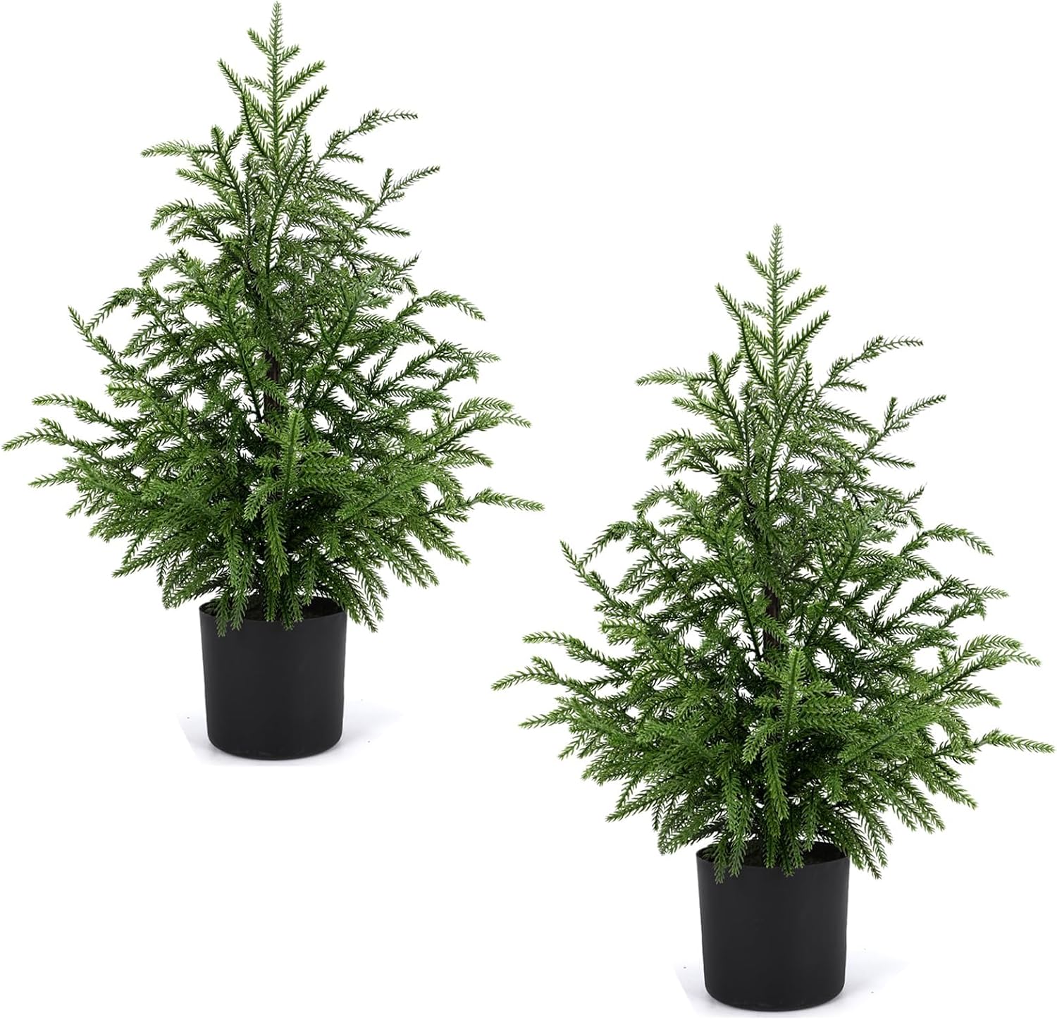 Ashenby 2 Pack Norfolk Pine Christmas Tree, 2FT Small Potted Faux Tree, 2.8 pounds