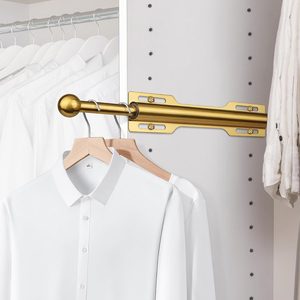 Barleyfield 12" Valet Rod for Closet Pull Out, 11.52 ounces, Brushed Gold