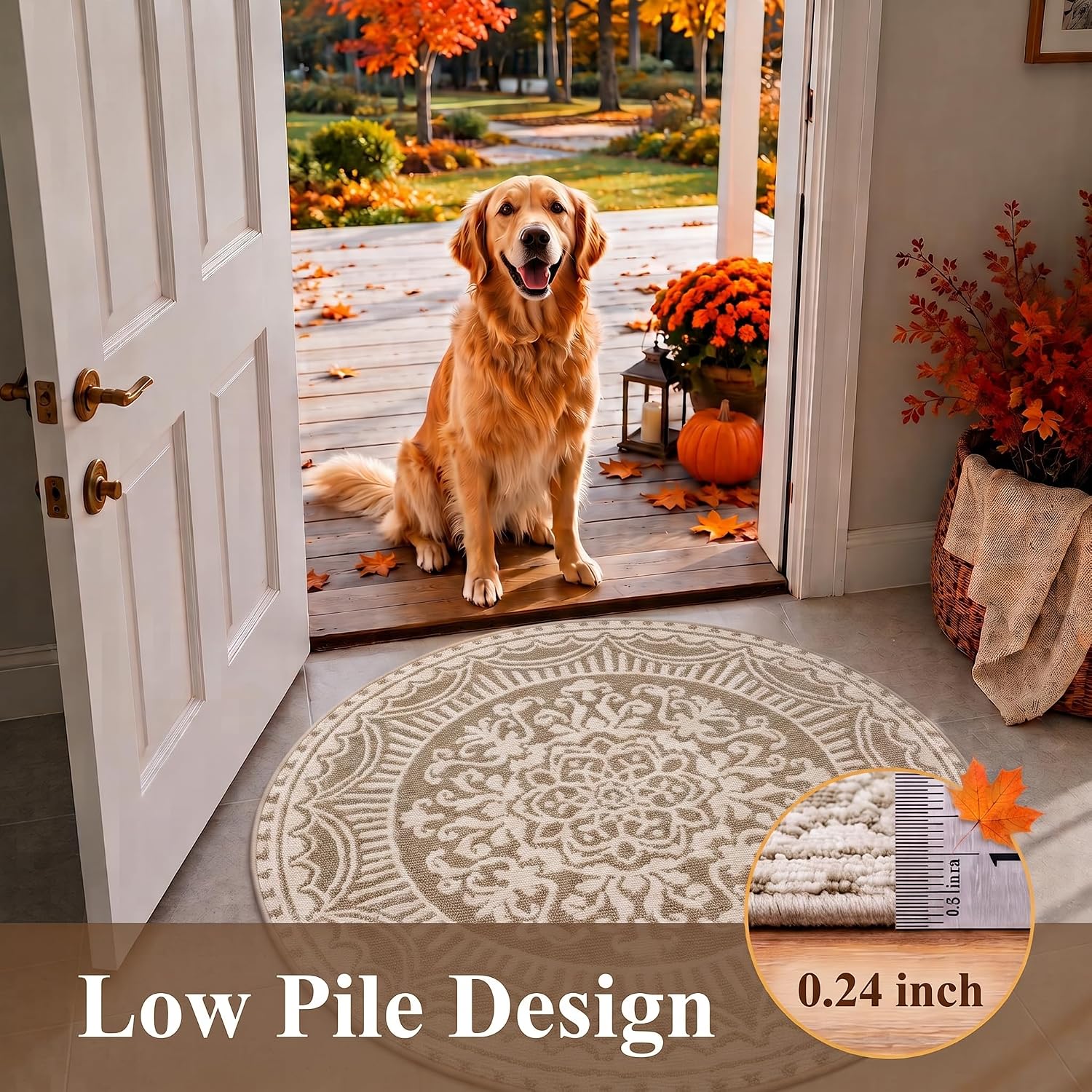 Birchmont 4ft Round Area Rug Non Slip Low Pile Floor Carpet Beige, 3.6 pounds, 12.25 Square Feet