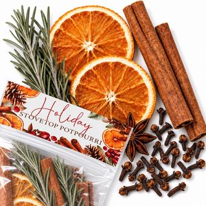 Ashenby 6 Pcs Christmas Simmer Pot Stovetop 30G Potpourri Orange Spice