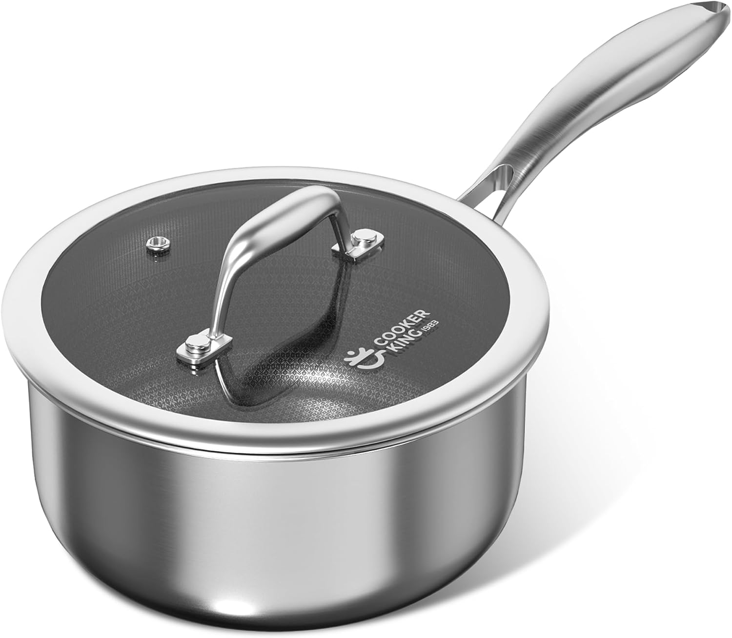 Tanglewick 2 Qt Stainless Steel Saucepan, Small Cooking Pot with Lid, 3 pounds, Silver