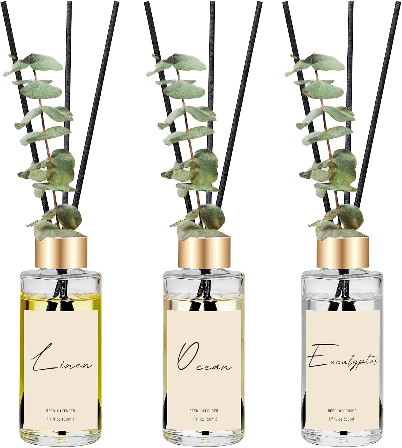 Aldernest Reed Diffuser Set of 3, Eucalyptus, Linen, Ocean Oil Diffusers with Sticks
