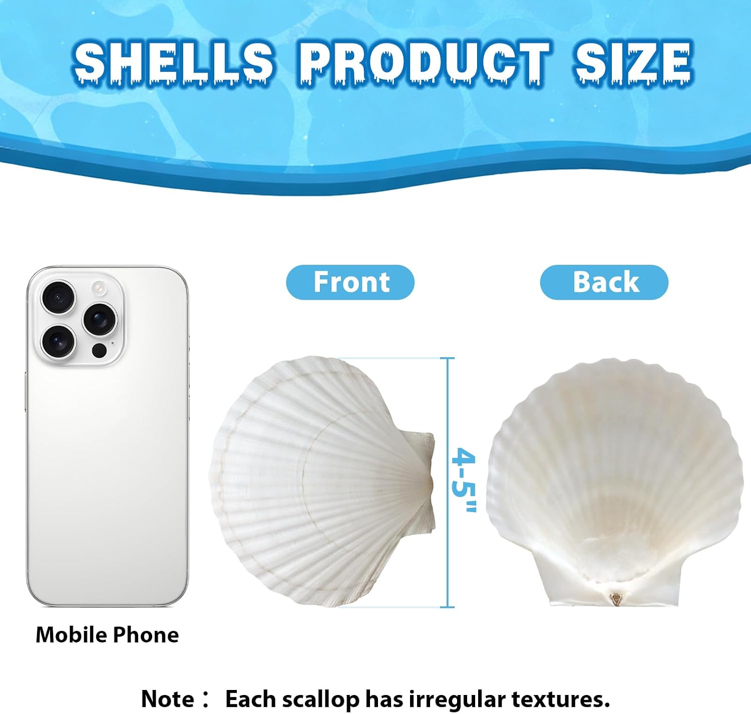 Ashenby 30Pcs 4"-5" Large Scallop Shells for Crafts, 2.6 pounds, White