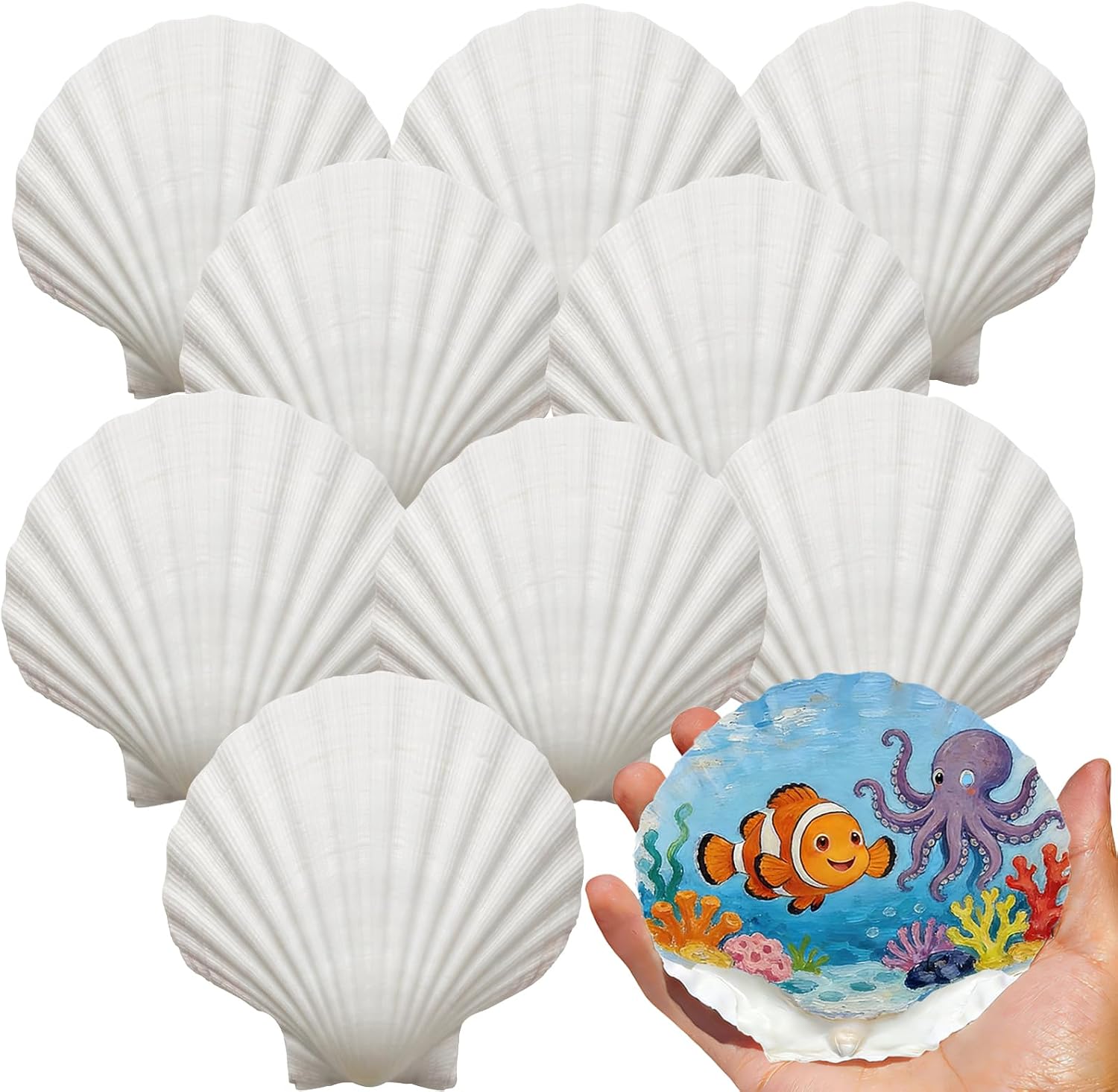 Ashenby 30Pcs 4"-5" Large Scallop Shells for Crafts, 2.6 pounds, White