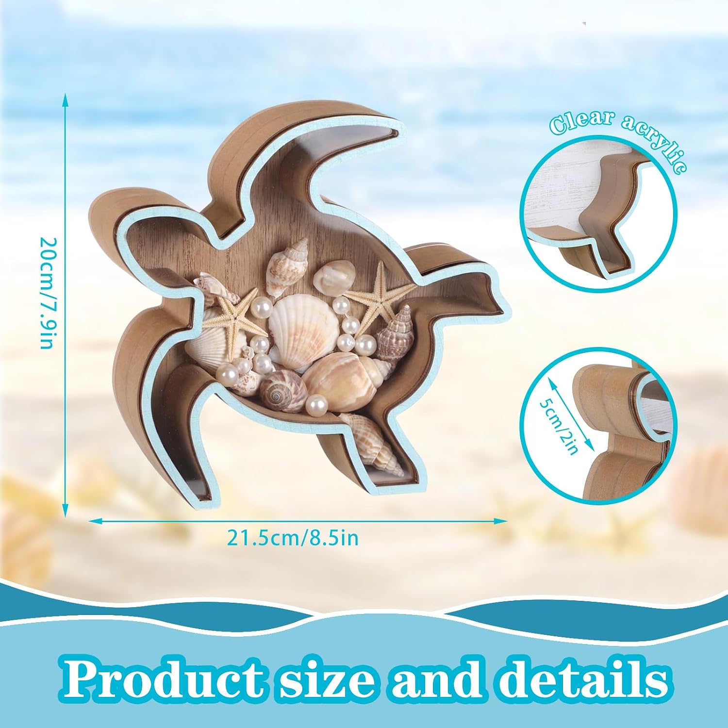 Aldernest Wooden Sea Turtle Seashell Holder Seashell Display Box Shell Collection Box, 12.32 ounces, Blue Green